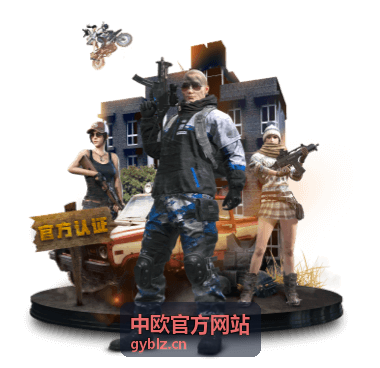 中欧官方网站专业清关团队 出口报关进口清关服务