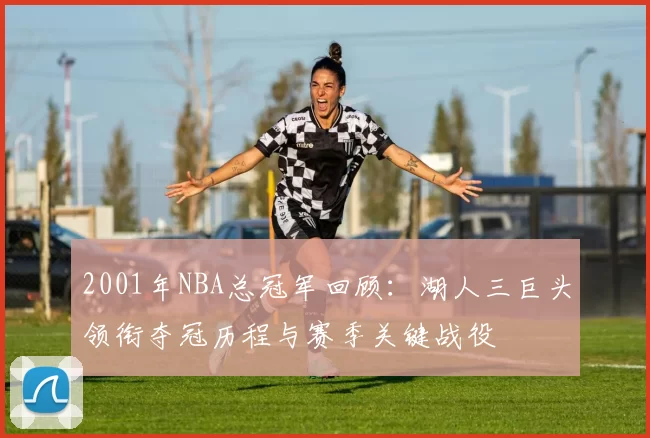 2001年NBA总冠军回顾：湖人三巨头领衔夺冠历程与赛季关键战役